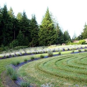 Meet your Posher, Joni